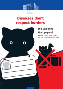 Diseases don't respect bordes